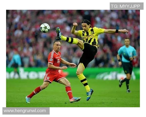 足球巨星宠物揭秘 球场之外的萌宠生活与明星日常